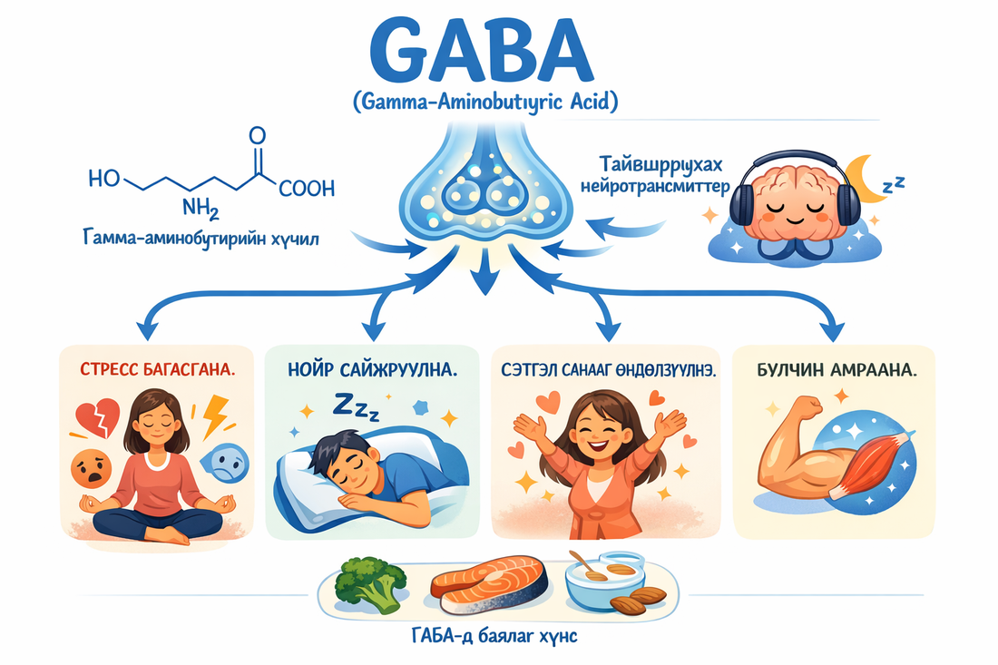 Арвай соёолж өвсөнд агуулагдах ГАБА, түүний ашиг тус